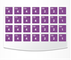 Picture of NuSmile ZR Zirconia Cuspid Professional Kit