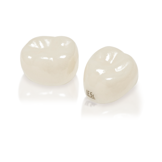 Picture of NuSmile ZR 2nd Primary Molar Crowns Picture of NuSmile ZR 2nd Primary Molar Crowns