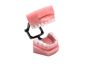 Picture of NuSmile ZR Starter Bundle